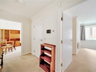 Picture 8
